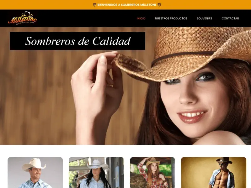 diseño paginas web tijuana